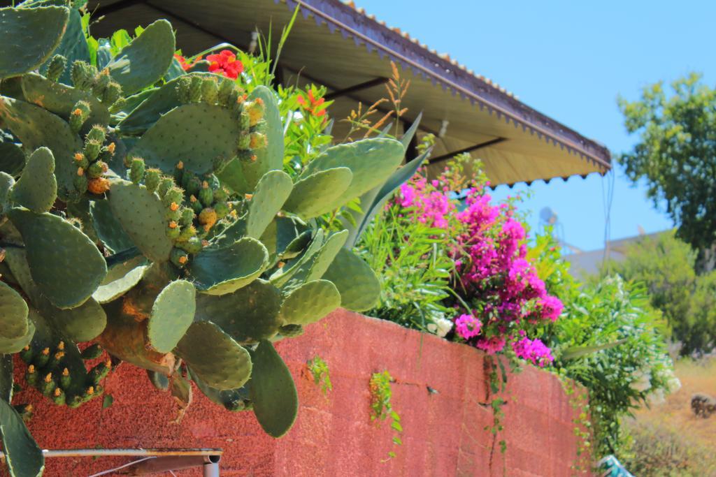 Hotel Schoenberg Kızılot Dış mekan fotoğraf