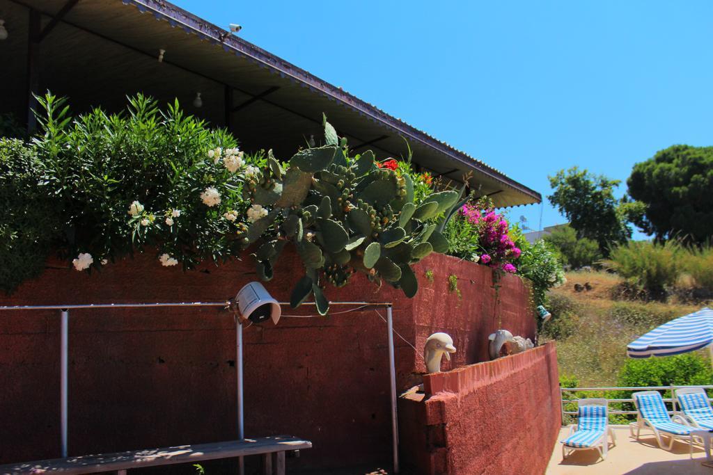Hotel Schoenberg Kızılot Dış mekan fotoğraf